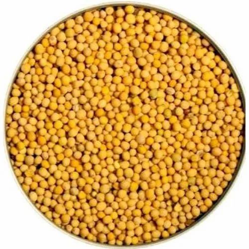 Yellow Mustard Seeds, 1 Kg