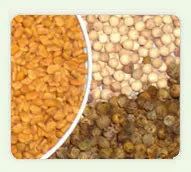 Aaha Impex Cooking Spices, Packaging Size: 200g