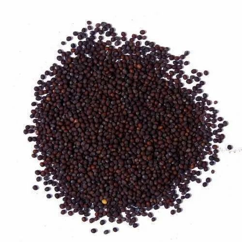 Black Mustard Seeds, 1 Kg