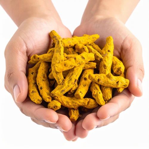 Salem Whole Dry Turmeric Finger