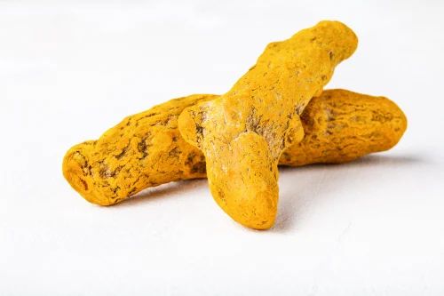 Salem (Erode) Selam Turmeric gatha, Bulb