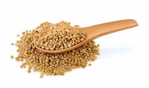 Organic Coriander Seed, Whole Seeds