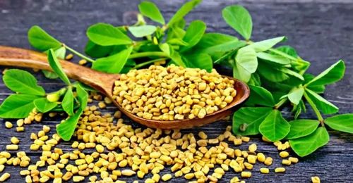 Fenugreek Seeds Regular, Whole