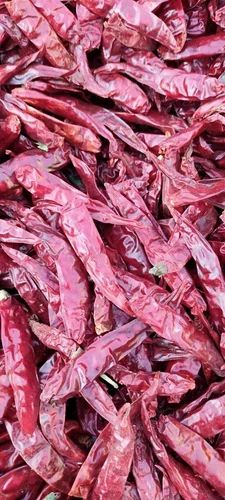 Teja Red Chilli