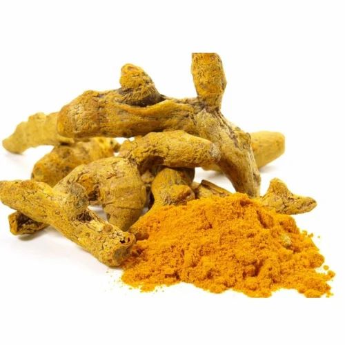 Maharashtra Turmeric Finger