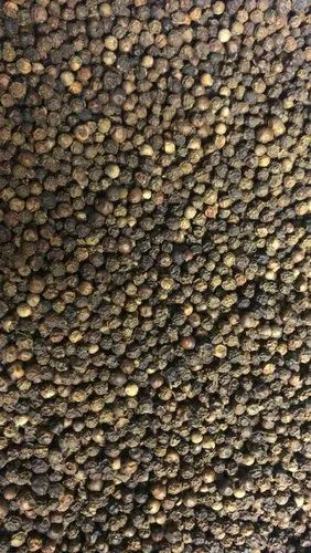 Premier Black Pepper ( Bulk Orders, More Than 20/ MT )), GV1/2