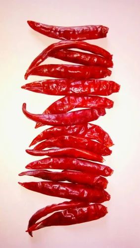 Guntur Dry Red Chilli, 1 Kg, Gunny Bag