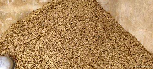 Turmeric Finger ( Bulk Quantity Export), 50 Kg