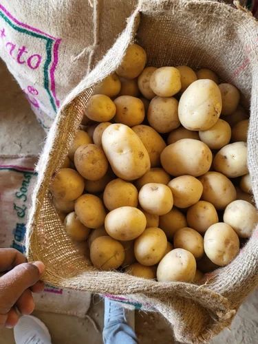 A Grade Fresh Potato, For Processing, 45Mm+