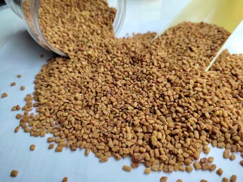 Yellow Methi Dana, Bold, Whole