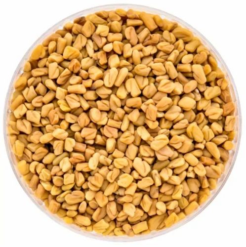 Skystar Brown Fenugreek Seeds Methi Dana, Packaging Type: Gunny Bag, Packaging Size: 50g
