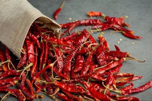 Teja Dry Red Chili, Packaging Size: Loose
