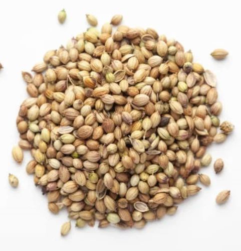 Dried ORGANIC CORIANDER SEEED, Form: Seeds