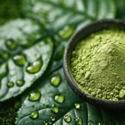 Organic Curry Leaf Powder, Packaging Type: Packet, Packaging Size: 500 g