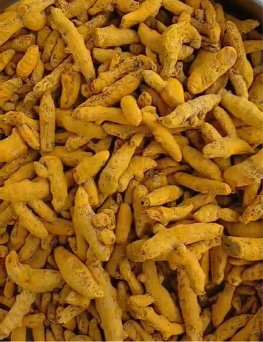 Salem Turmeric Finger