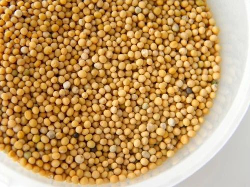 Yellow Mustard Seed, Bold, Packaging Size: 200 g
