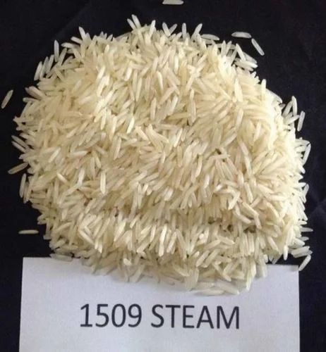 1509 Basmati Steam Rice, 10 Kg