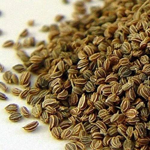 Celery Seeds Open Pollinated, Whole