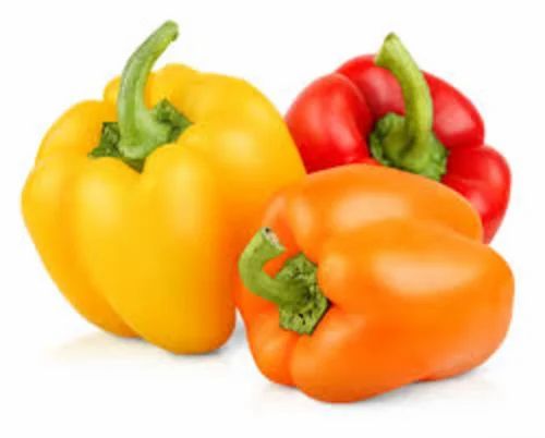 Bell Pepper Seed, MG1