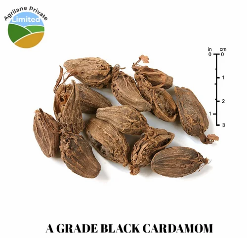 Black Large Cardamom