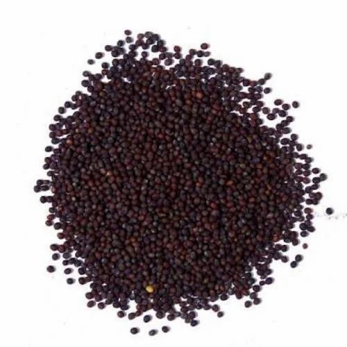 Black Mustard, 50 KG