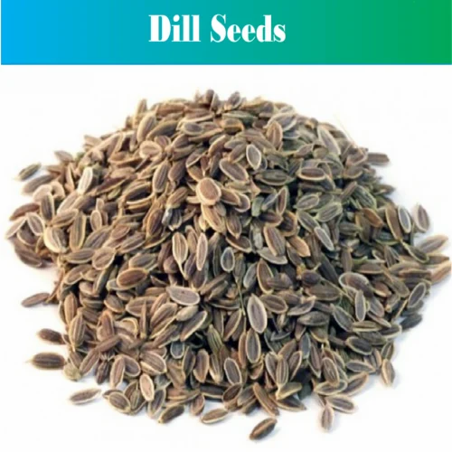 Agrilane Brown Dill Seeds ., Packaging Type: Gunny Bag, Packaging Size: 25 KG