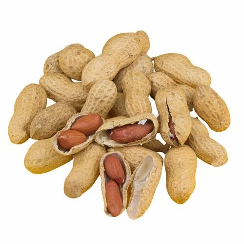 Raw Groundnut With Shell, 25 Kg PP Bag