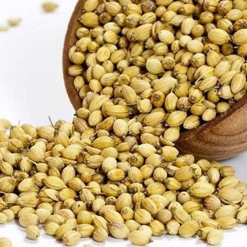 Dried Brown Organic Coriander Seed, For Cooking, Packaging Size: 25kg