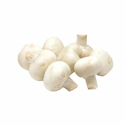 Pan India White Organic Button Mushroom, Packaging Type: Loose, 6g