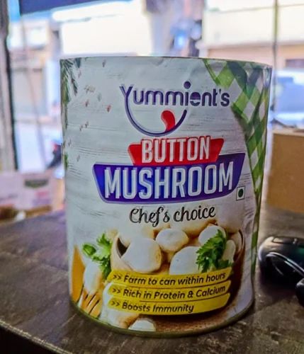 Mushroom, 800 g, Canned
