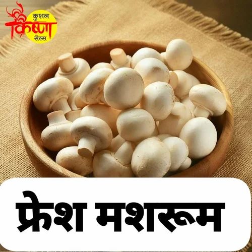 Mashroom, Packaging Type: Packet, Packaging Size: 200g