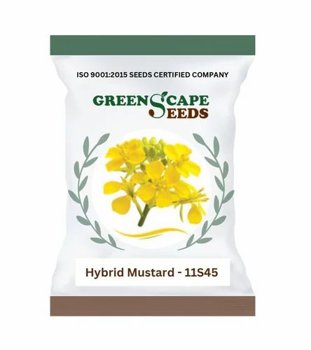 11S45 Hybrid Mustard Seed, Bold
