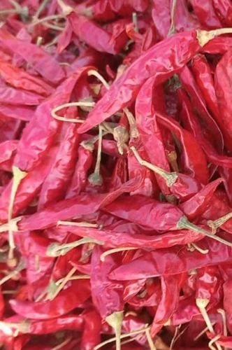 Variety Of Chilli: Guntur Dry Red Chilli, Packaging Size: 50 kg