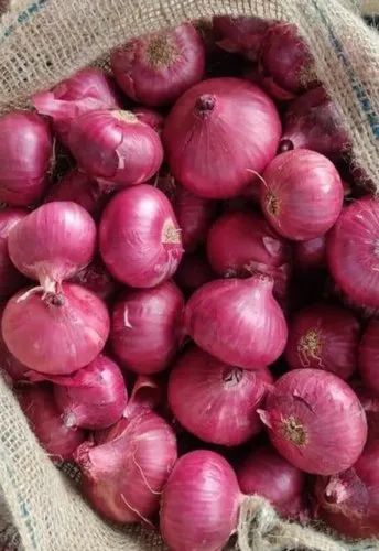 Onion Export Quality, 55Mm+, 50 kg