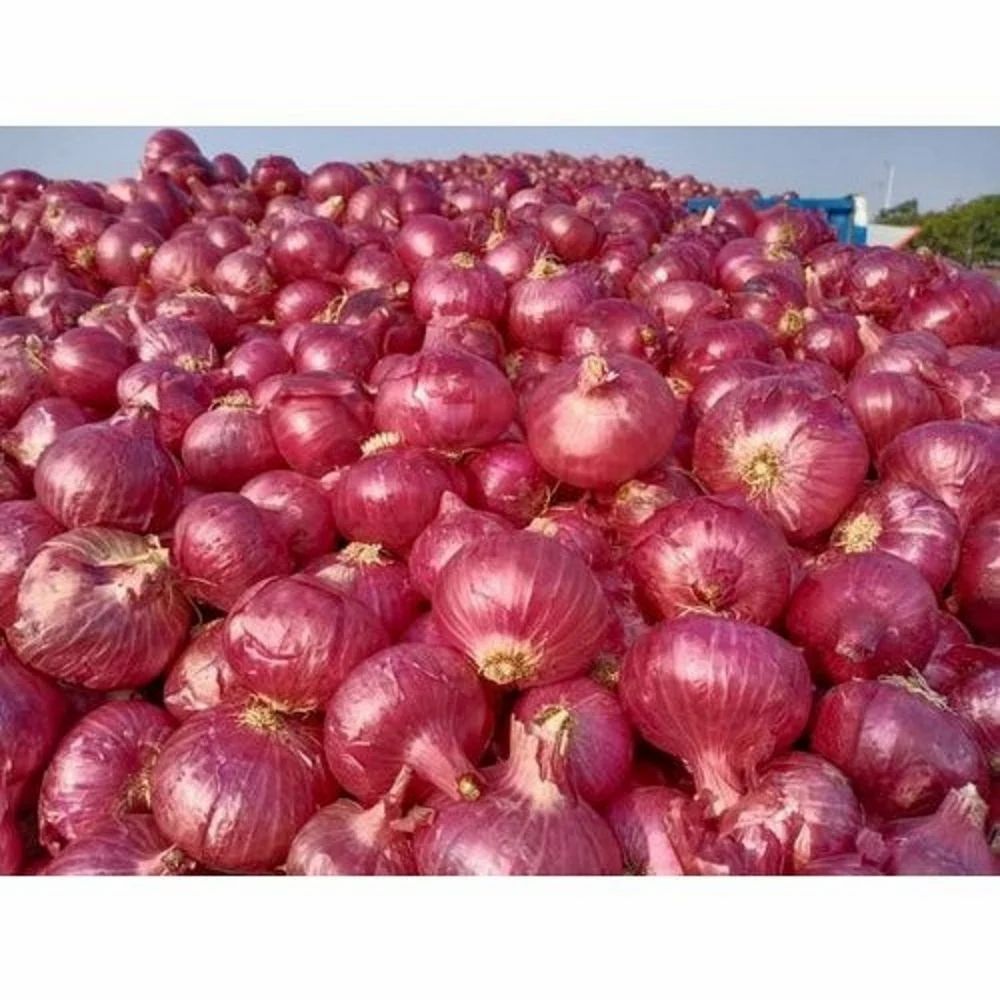 Banglaesh Quality Onion