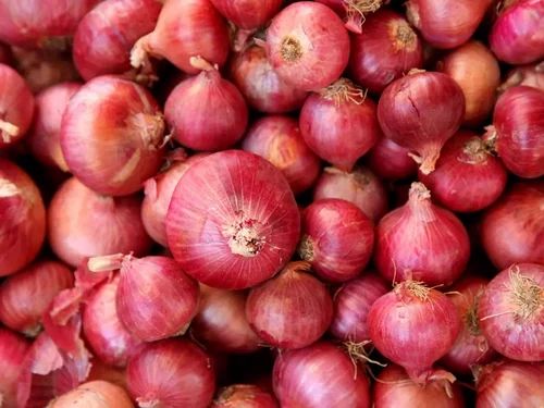 Patna Quality Onion, 50 Kg