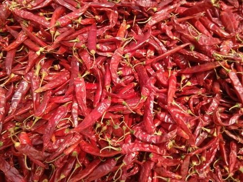 Teja Red Chilli, Medium
