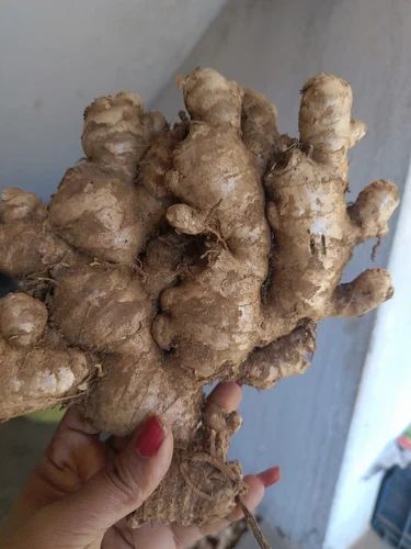Natural Organic Fresh Ginger