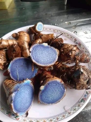 Black Turmeric