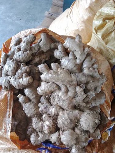 Organic Fresh Premium Ginger