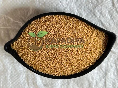 Small Yellow Mustard Seed, Packaging Size: 25 kg