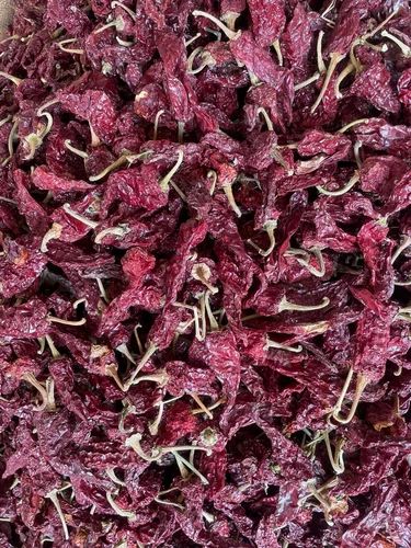 Kashmiri Red Chillies, PP Bag
