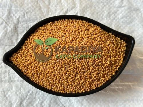 Yellow Bold Mustard Seeds, Packaging Size: 25 kg