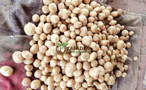 Brown Fresh Potato Vegetable, 20 Kg