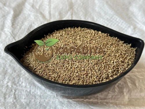 Ajwain (Carom Seeds) Dry Celery Seed, Packaging Size: 25 kg