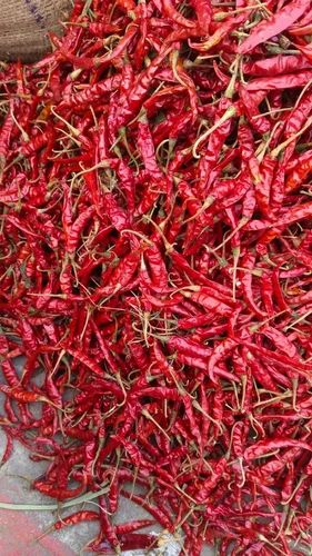 Guntur Indian Dry Red Chilli, PP Bag, Packaging Size: 25 kg