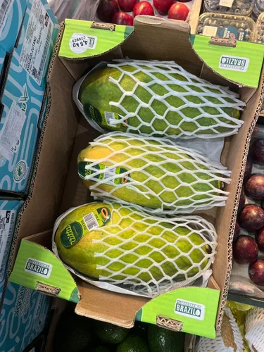 Raw Export Quality Papaya Fruits, Packaging Size: 20 Kg