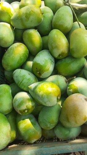 Loose Kesar Mango