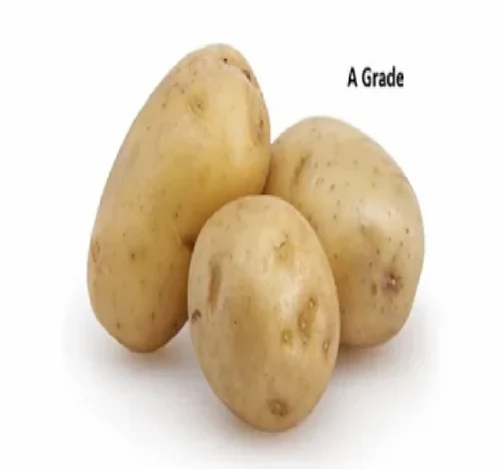 Creamish White A Grade Fresh Potato, Loose, 45Mm+