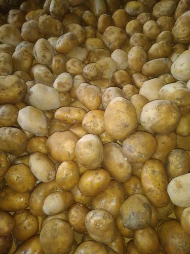 Brown A Grade Potato, Packaging Size: 10 Kg